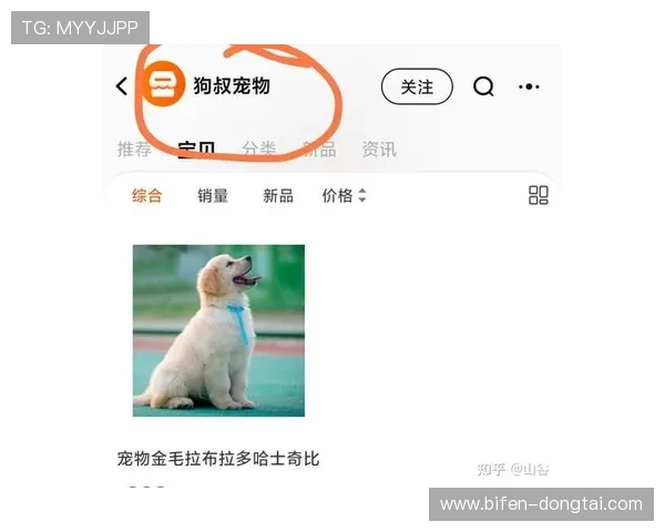 NBA品牌入口下载评测避坑指南防骗必看